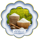 برنج