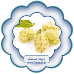 توت خشک